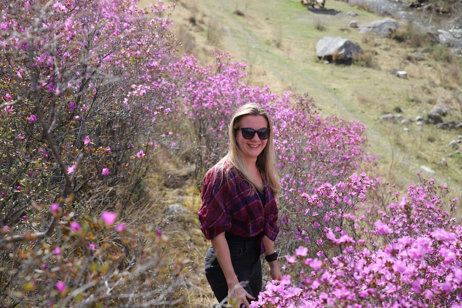 Ороктойский мост